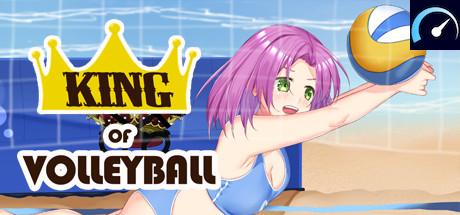 King of Volleyball tile
