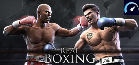 Real Boxing tile